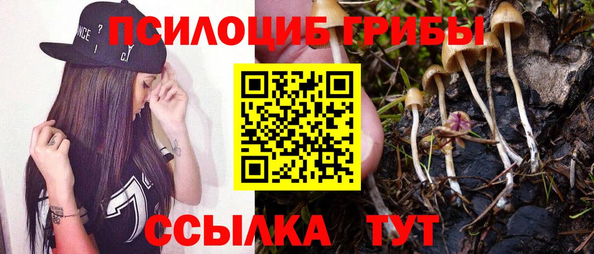 Гудермес  магазин    Псилоцибиновые грибы ЛСД  Вход с VPN  Галлюциногенные грибы MAGIC MUSHROOMS 