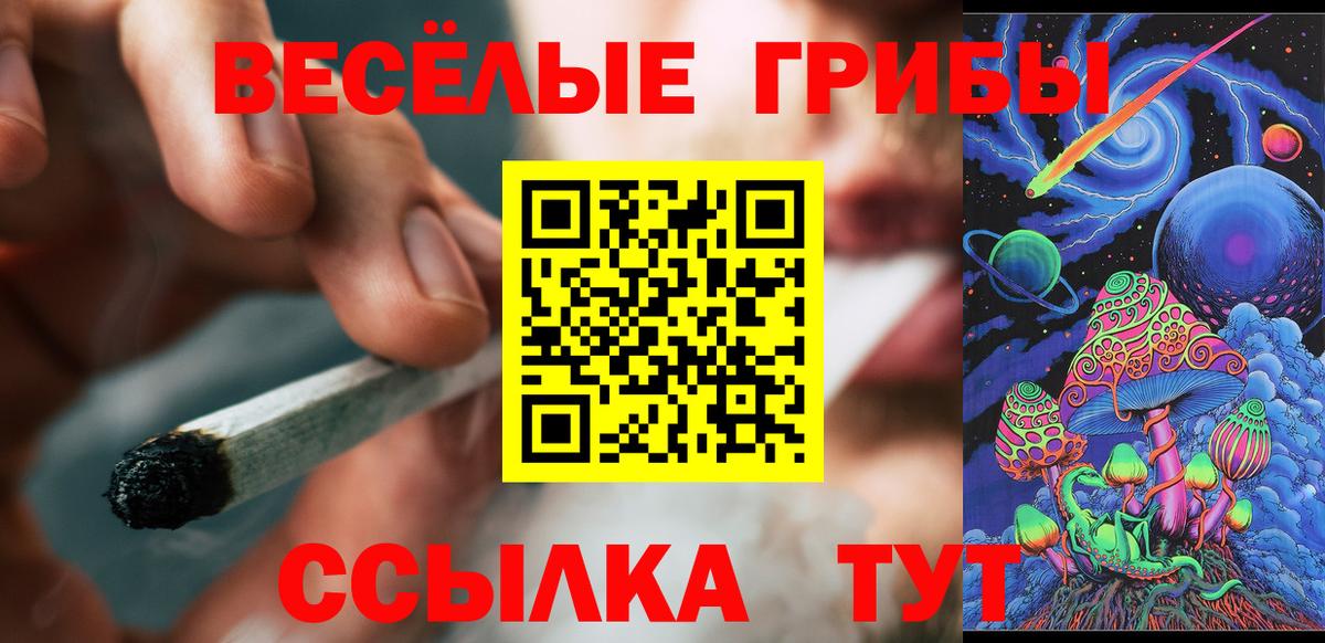 Галлюциногенные грибы Psilocybine cubensis Гудермес